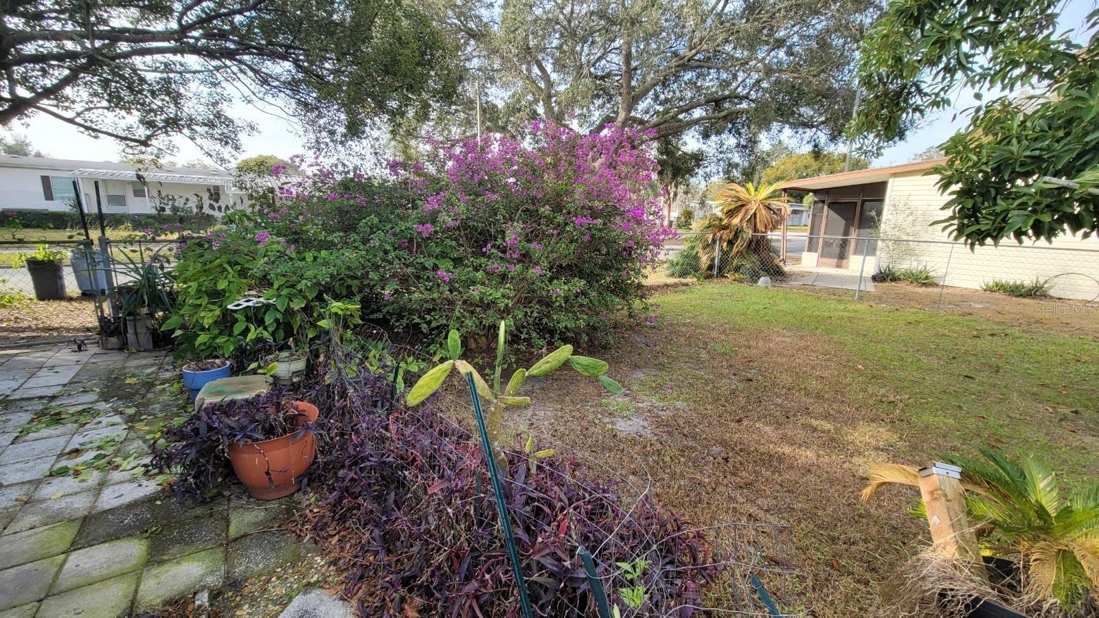449 SKYLINE DRIVE E, LAKELAND, FL, 33801