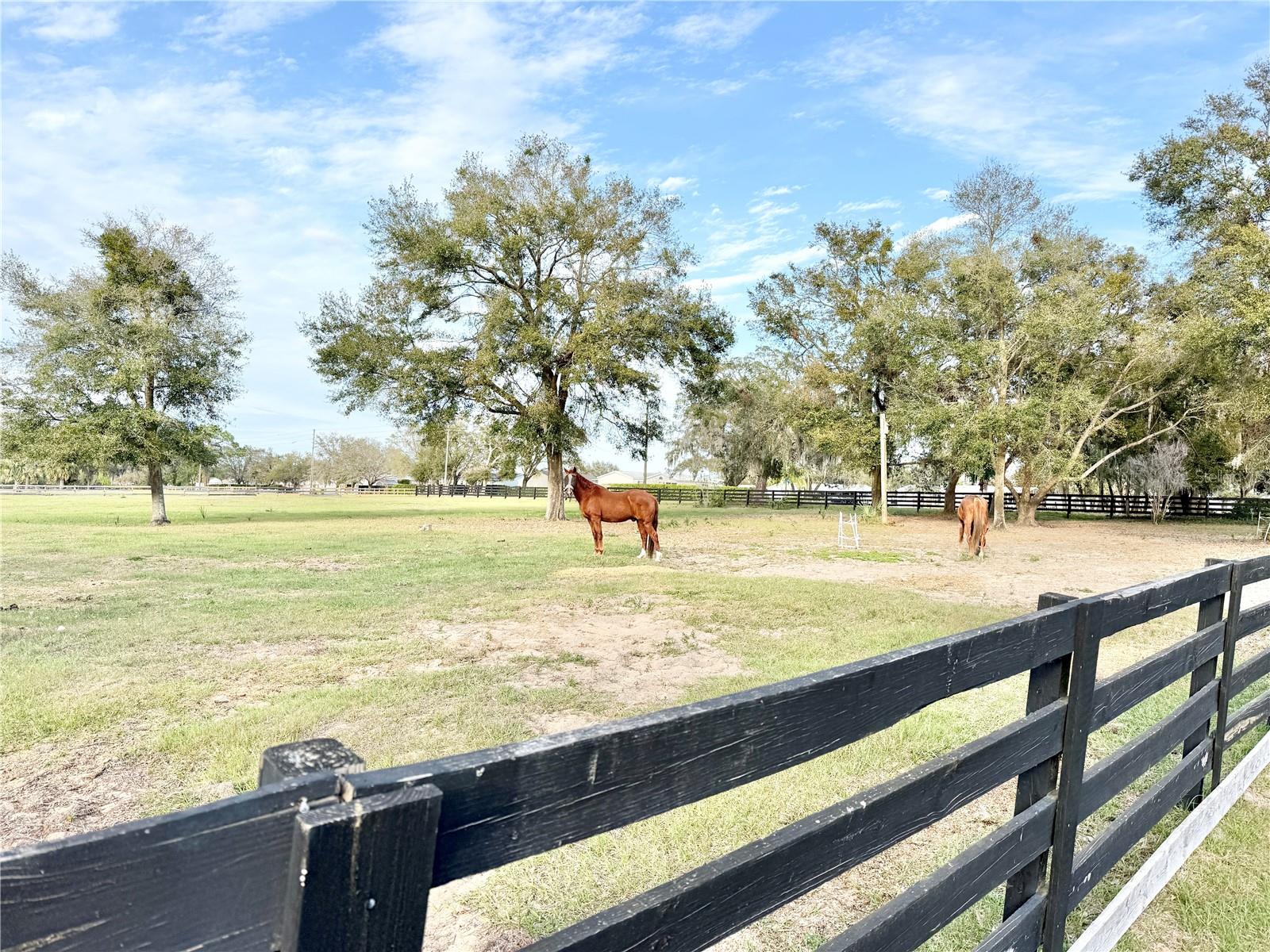 37807 FELKINS RD, LEESBURG, FL, 34788