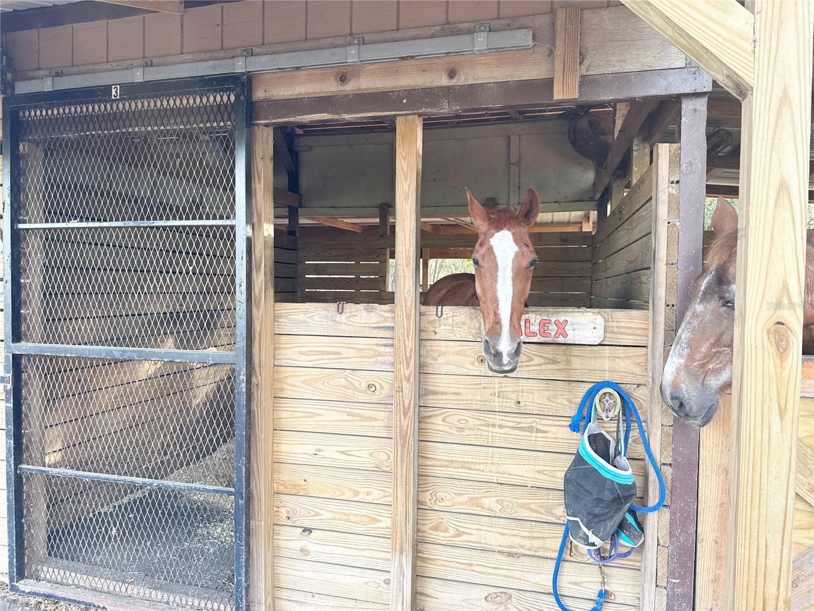 37807 FELKINS RD, LEESBURG, FL, 34788