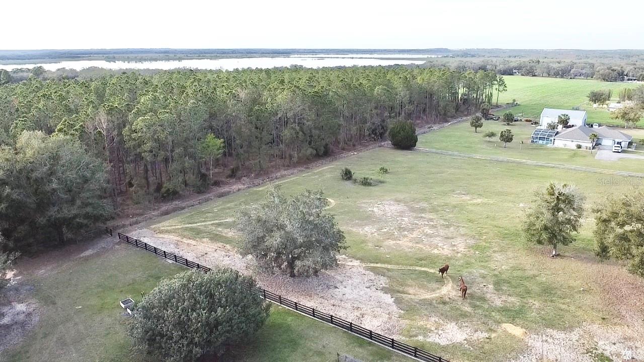 37807 FELKINS RD, LEESBURG, FL, 34788