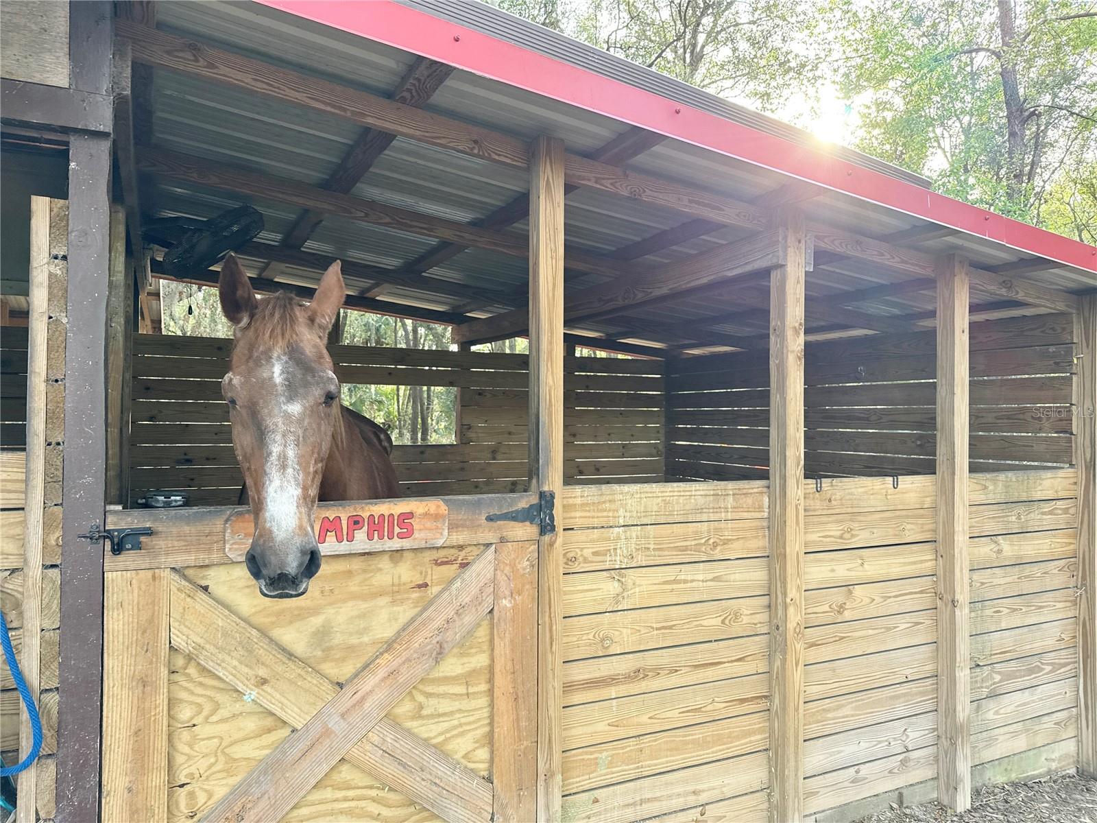 37807 FELKINS RD, LEESBURG, FL, 34788