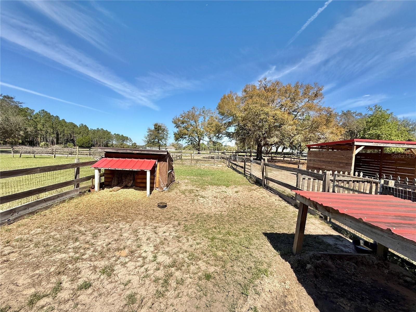 37807 FELKINS RD, LEESBURG, FL, 34788