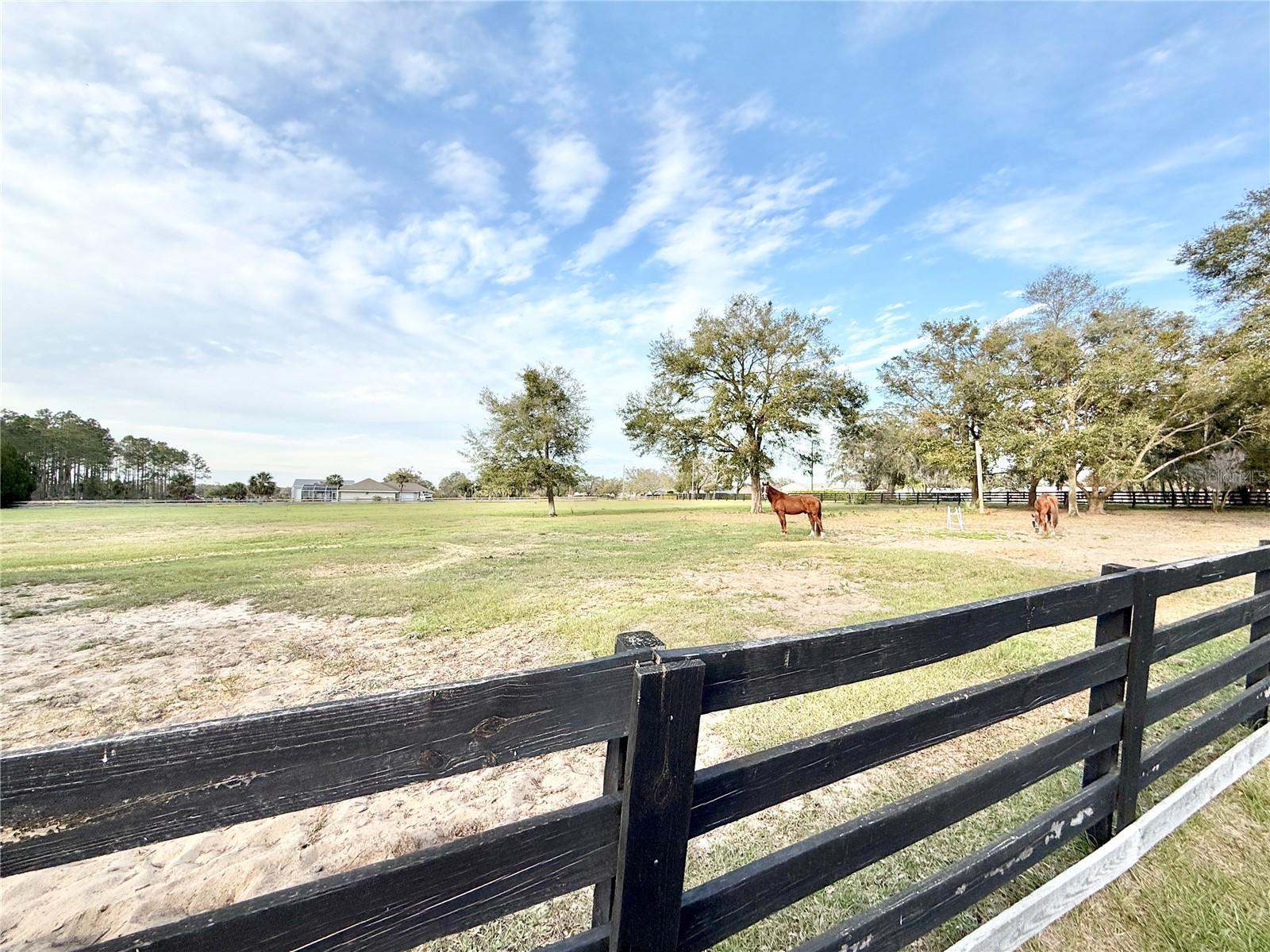 37807 FELKINS RD, LEESBURG, FL, 34788