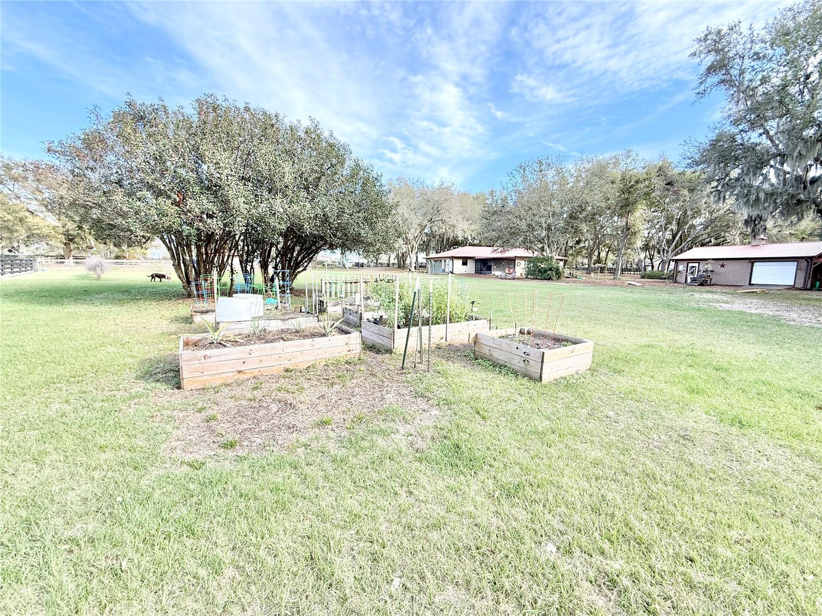 37807 FELKINS RD, LEESBURG, FL, 34788