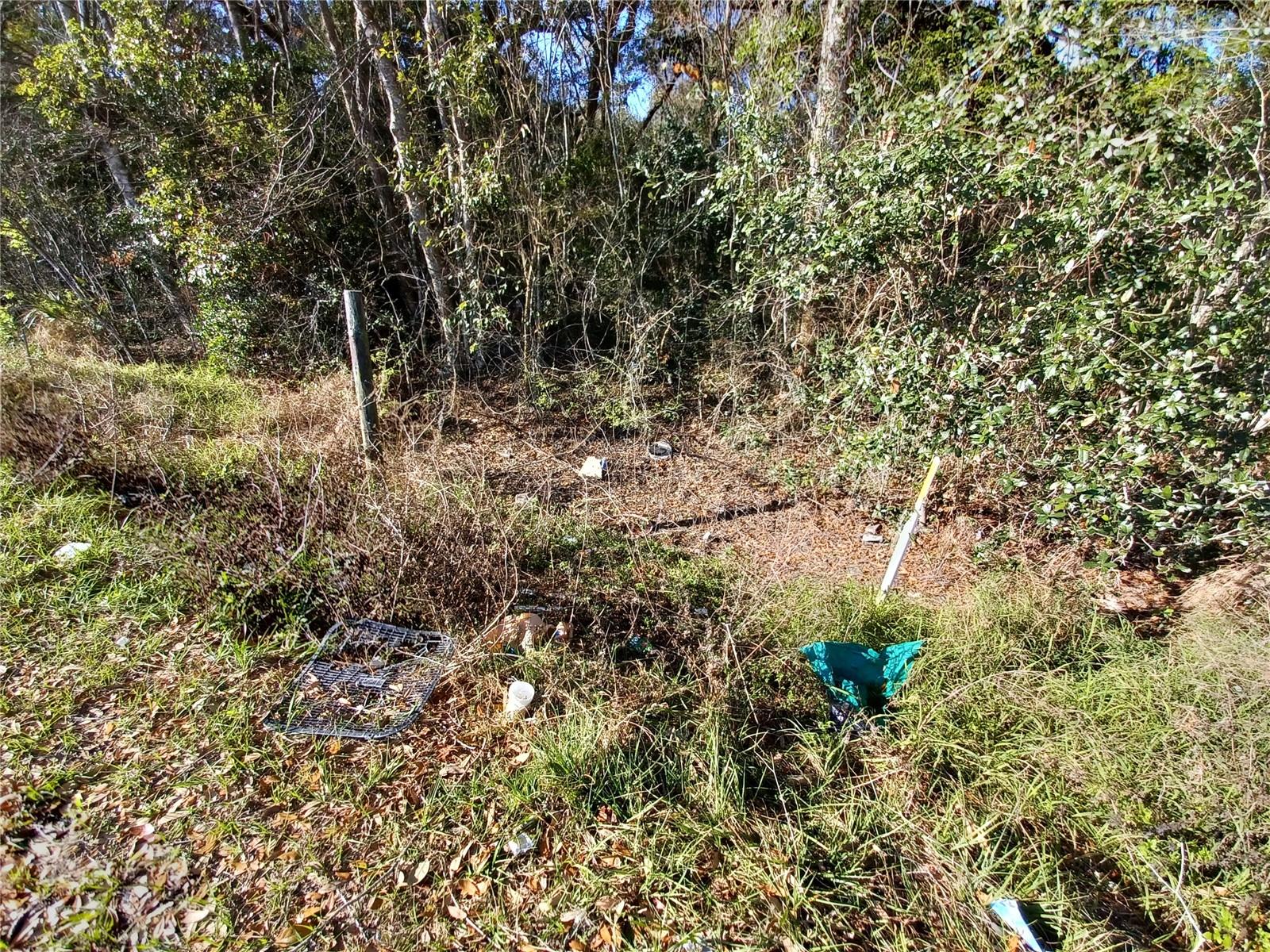 524 S US HIGHWAY 27 - 441 #441, LADY LAKE, FL, 32159
