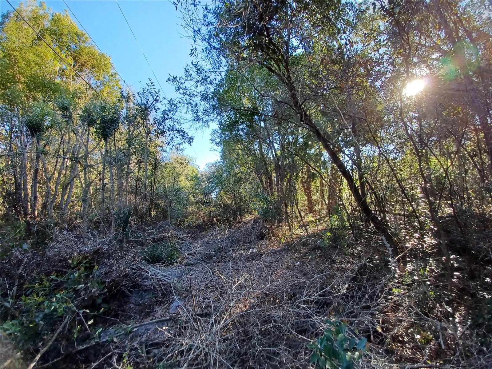 524 S US HIGHWAY 27 - 441 #441, LADY LAKE, FL, 32159