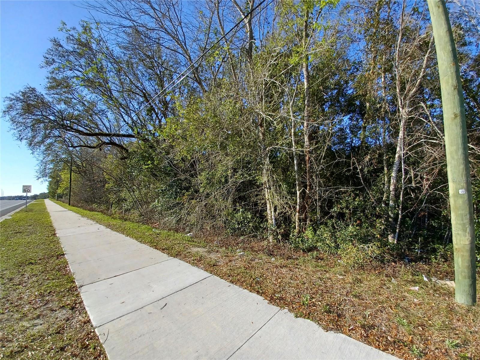 524 S US HIGHWAY 27 - 441 #441, LADY LAKE, FL, 32159