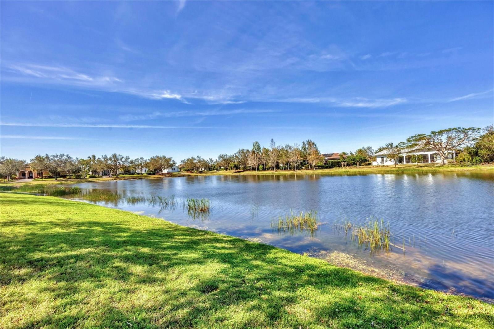16009 CLEARLAKE AVE, LAKEWOOD RANCH, FL, 34202