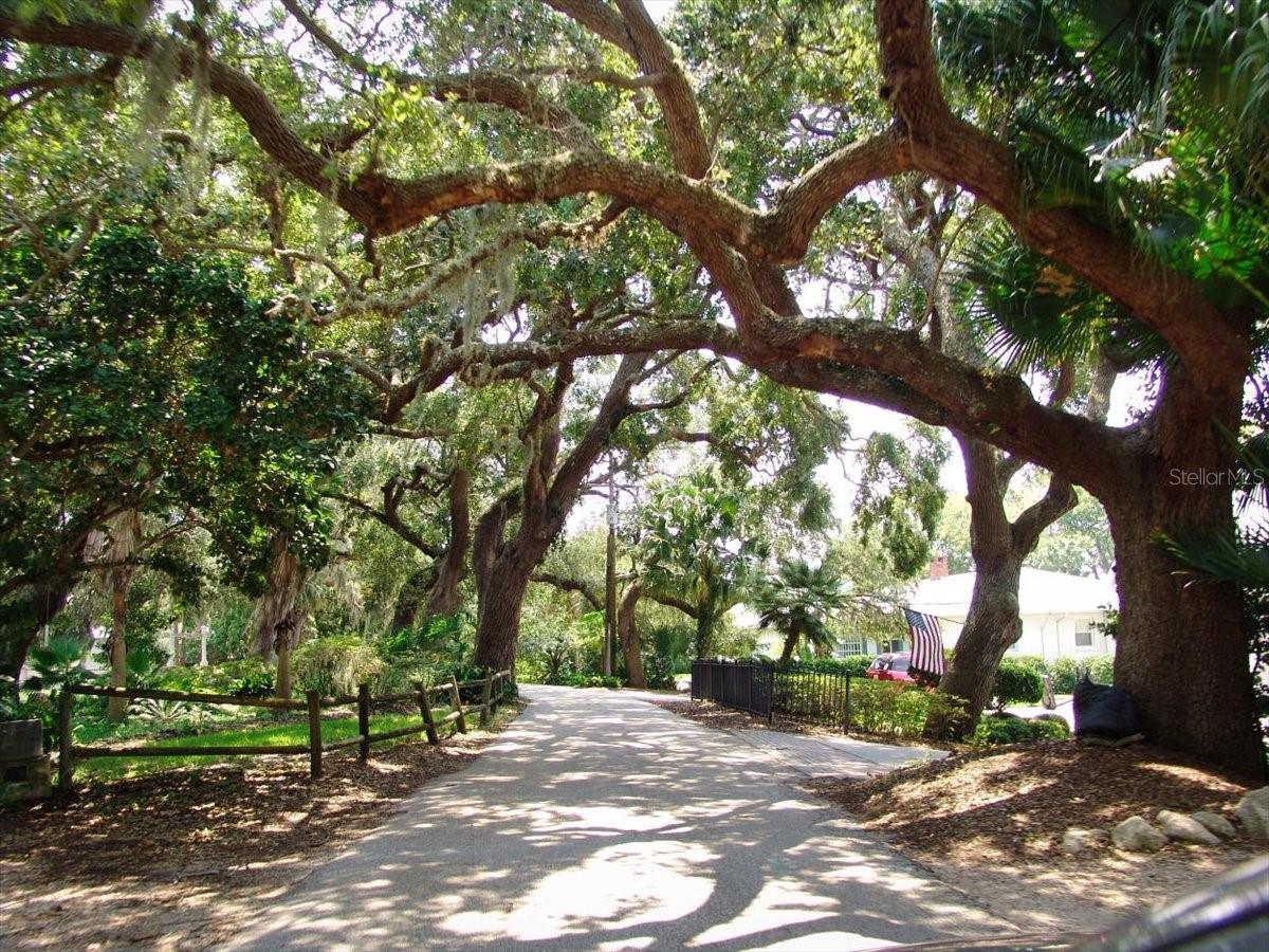 198 BENJAMIN DR, ORMOND BEACH, FL, 32176