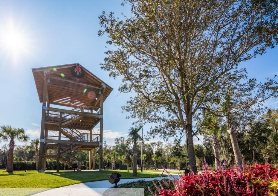 11350 BIOGRAPHY WAY, ORLANDO, FL, 32832