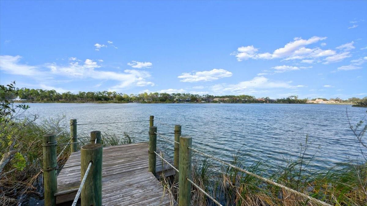 25 EMERALD LAKE CT, PALM COAST, FL, 32137