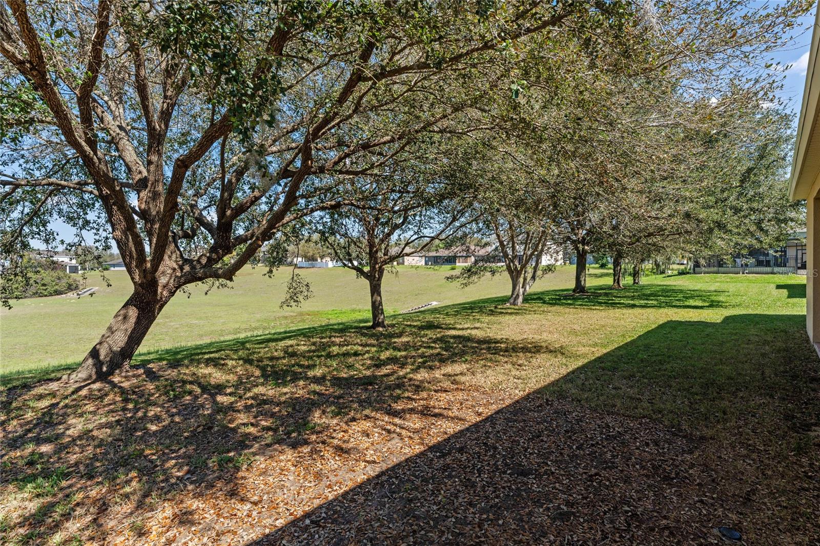 2229 BEARDSLEY DR, APOPKA, FL, 32703