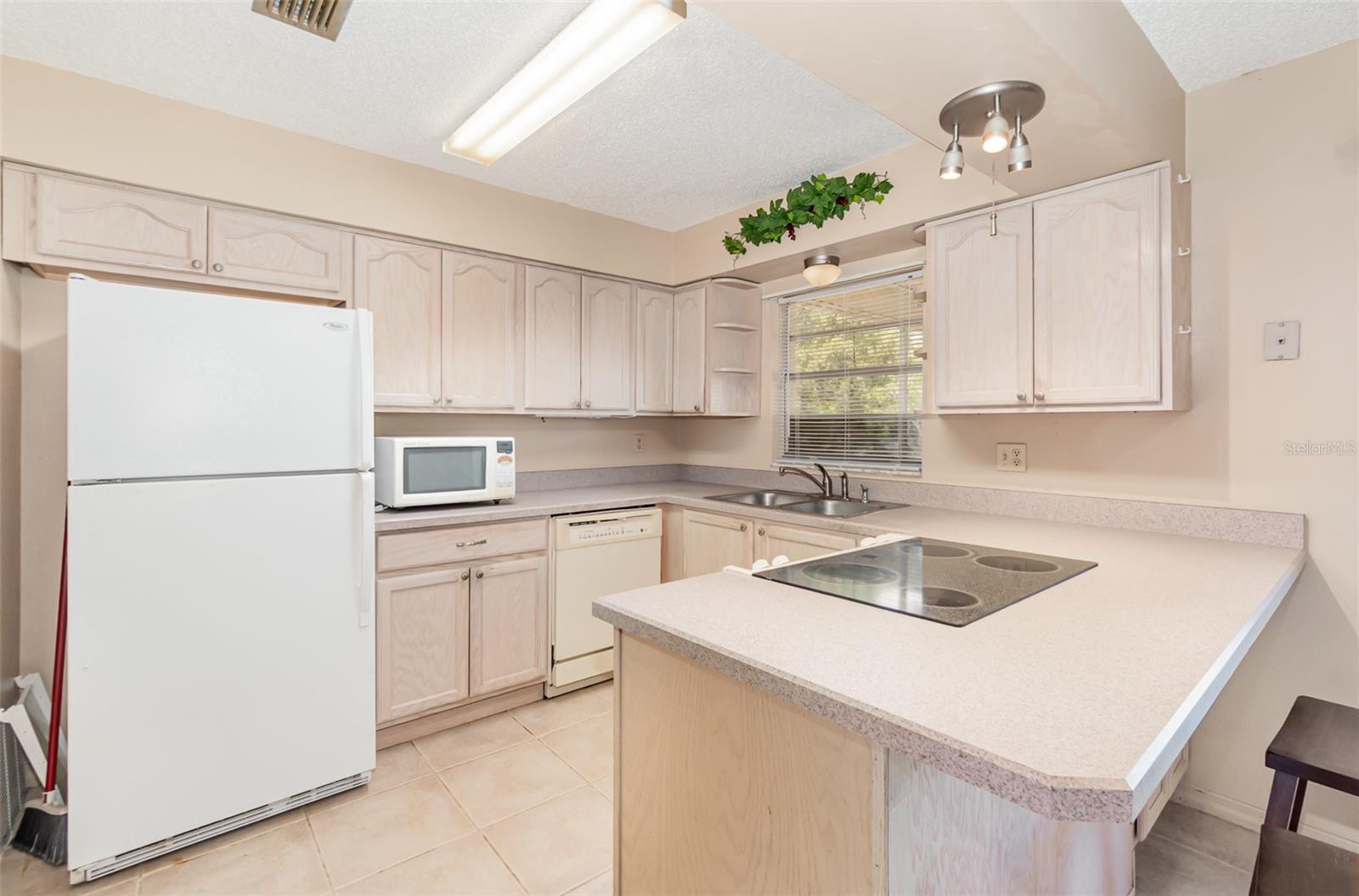 2485 SE 159TH LANE RD, SUMMERFIELD, FL, 34491