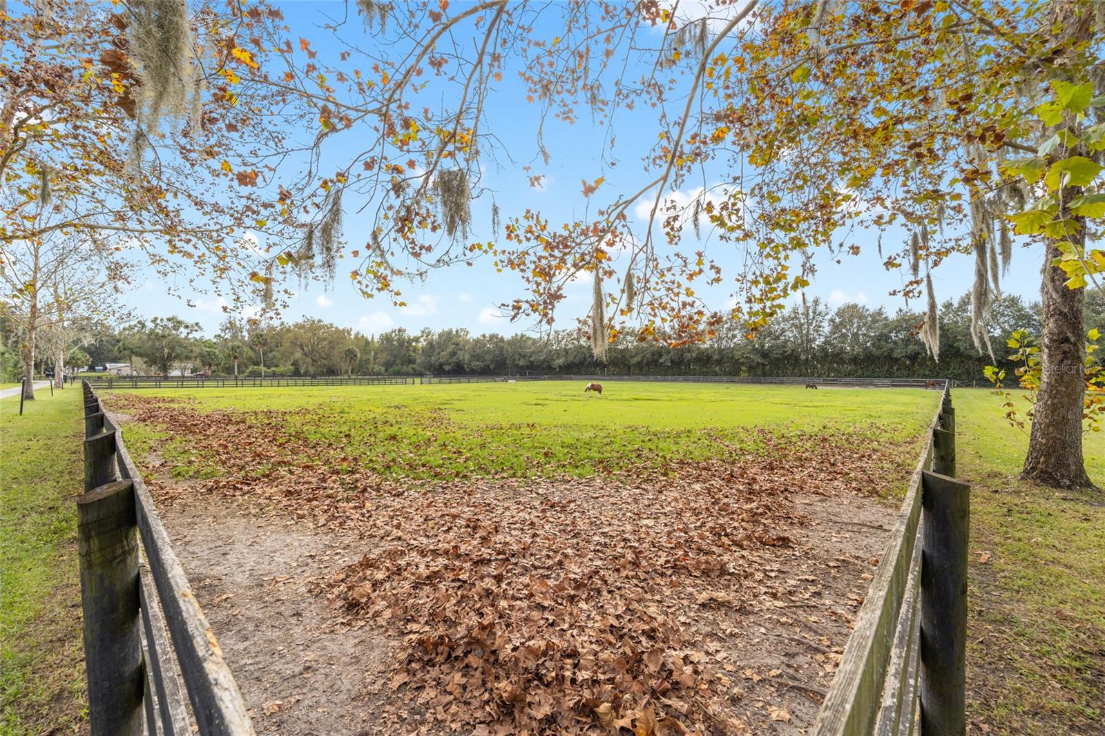 2745 SE 80TH ST, OCALA, FL, 34480