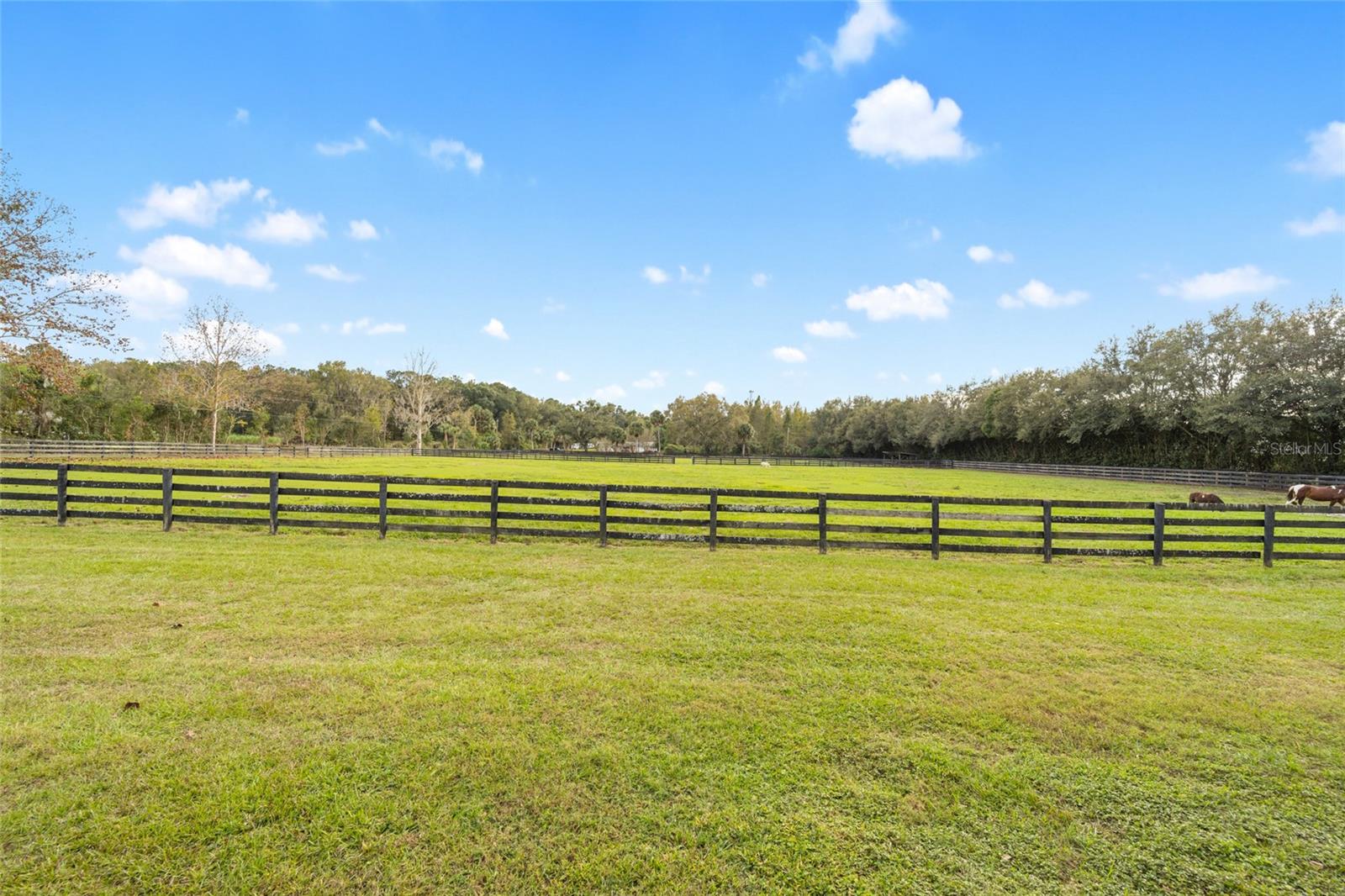 2745 SE 80TH ST, OCALA, FL, 34480