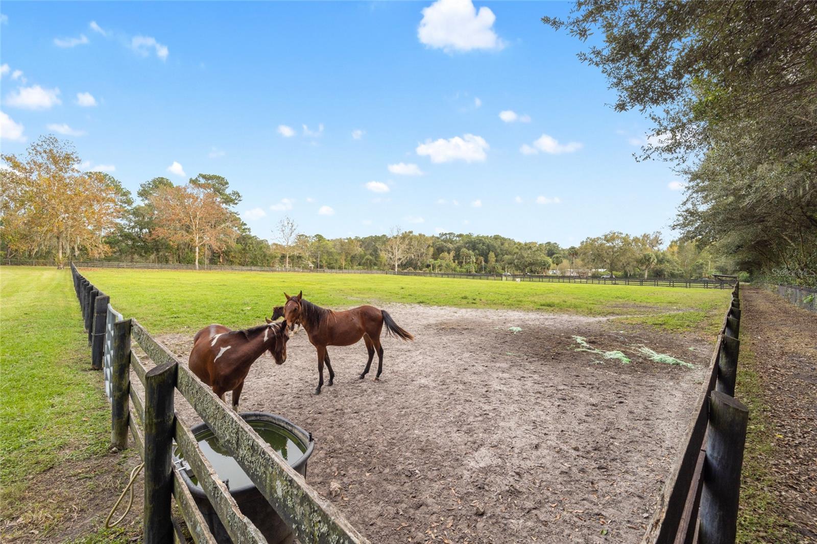 2745 SE 80TH ST, OCALA, FL, 34480