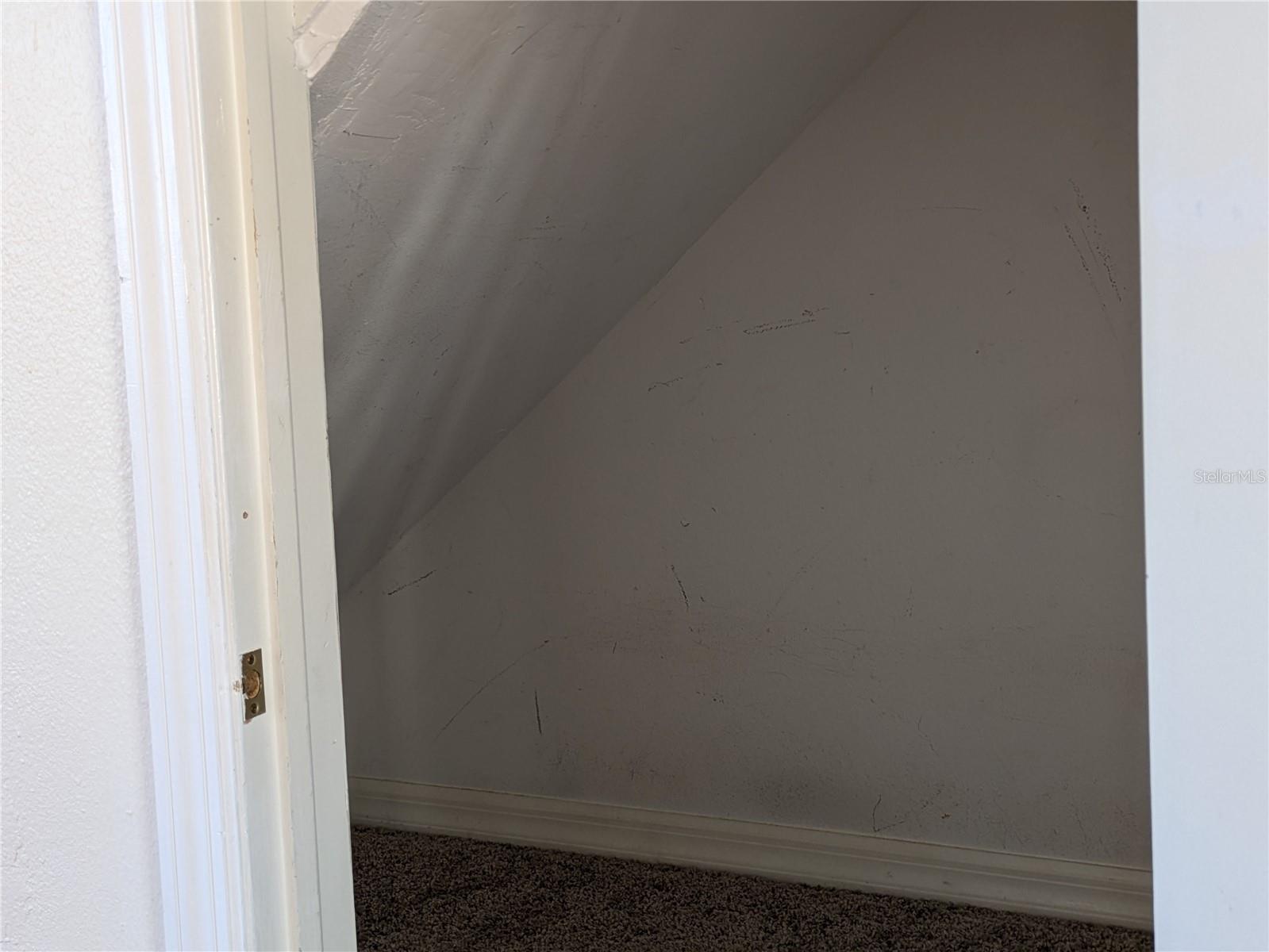 12287 COUNTRY WHITE CIR, TAMPA, FL, 33635