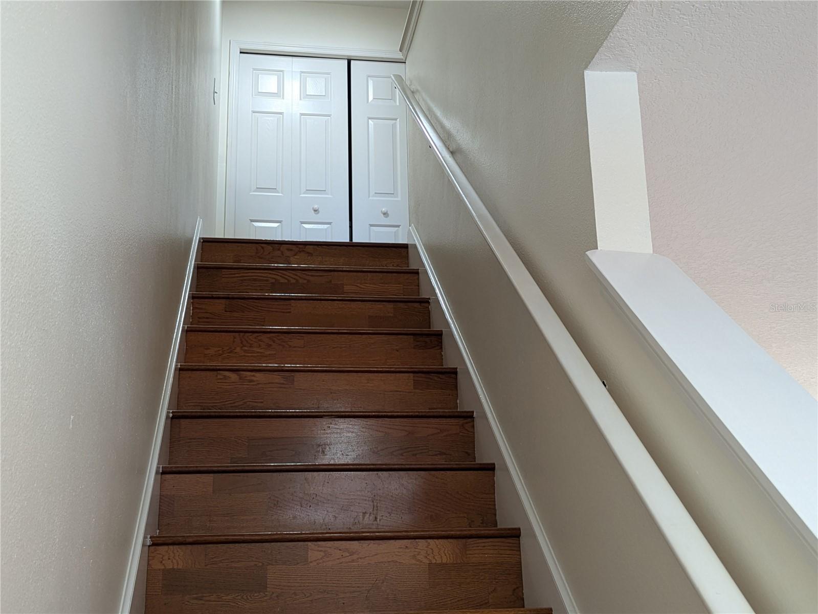 12287 COUNTRY WHITE CIR, TAMPA, FL, 33635