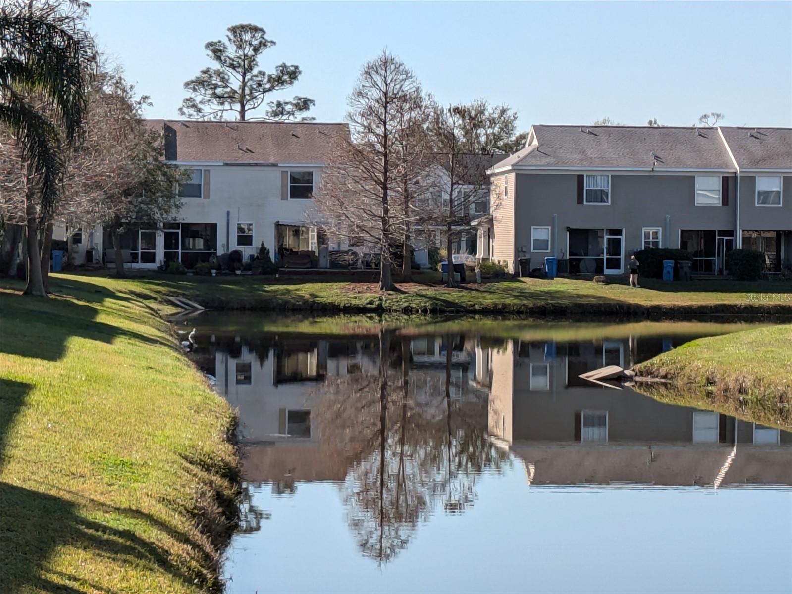 12287 COUNTRY WHITE CIR, TAMPA, FL, 33635