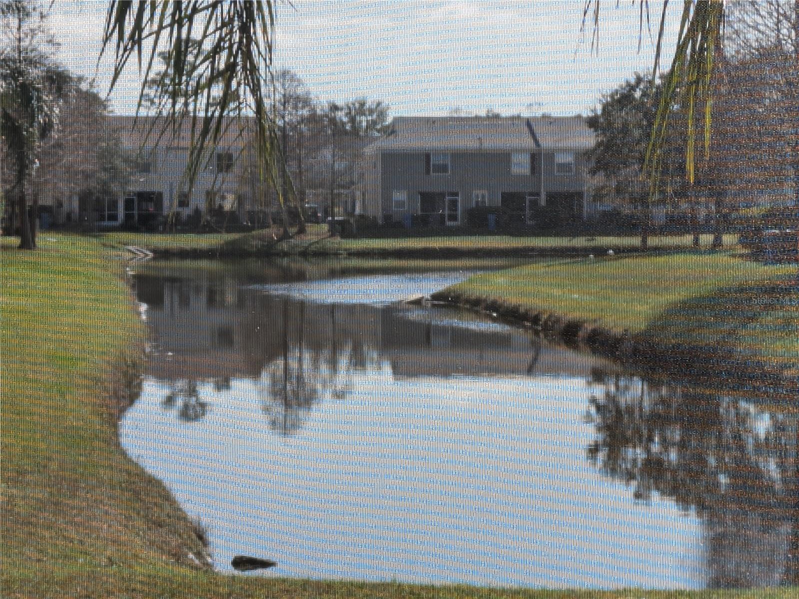 12287 COUNTRY WHITE CIR, TAMPA, FL, 33635