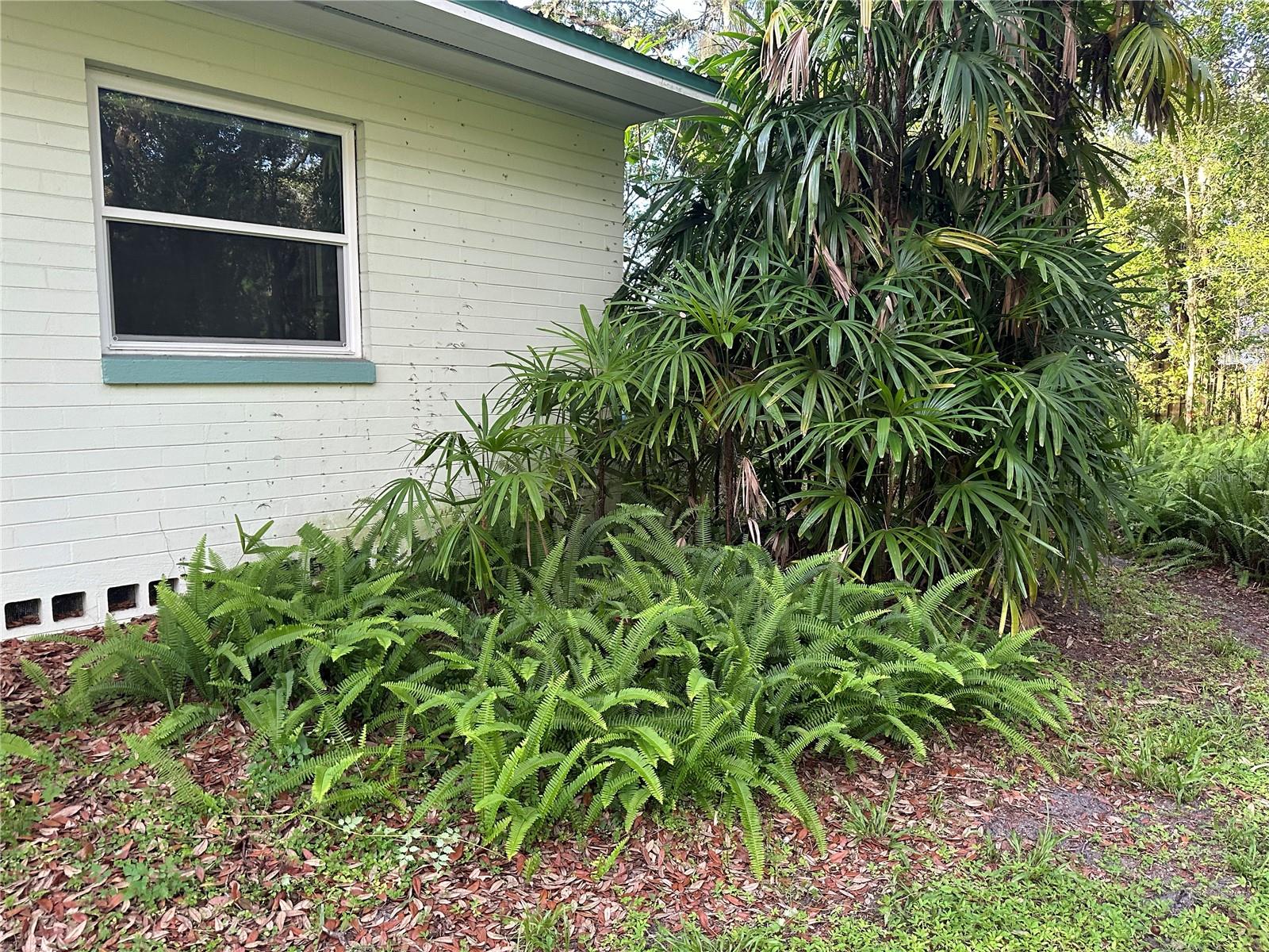 22 POINSETTIA DR, DELAND, FL, 32724