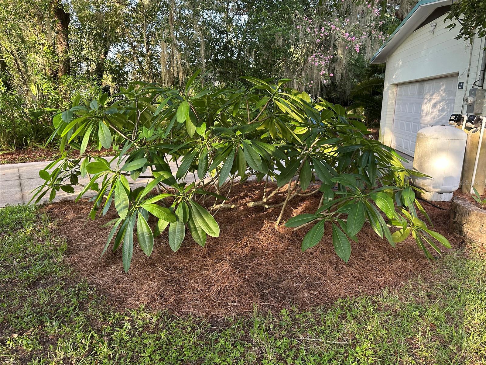 22 POINSETTIA DR, DELAND, FL, 32724