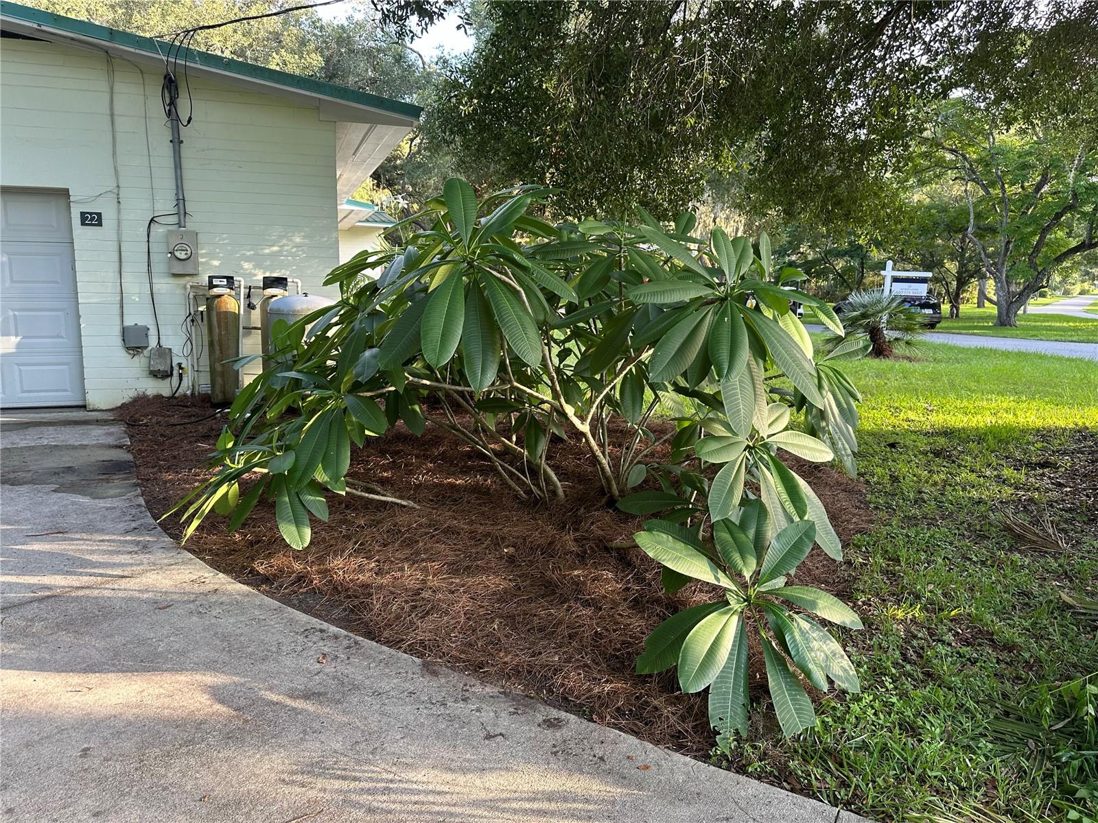 22 POINSETTIA DR, DELAND, FL, 32724