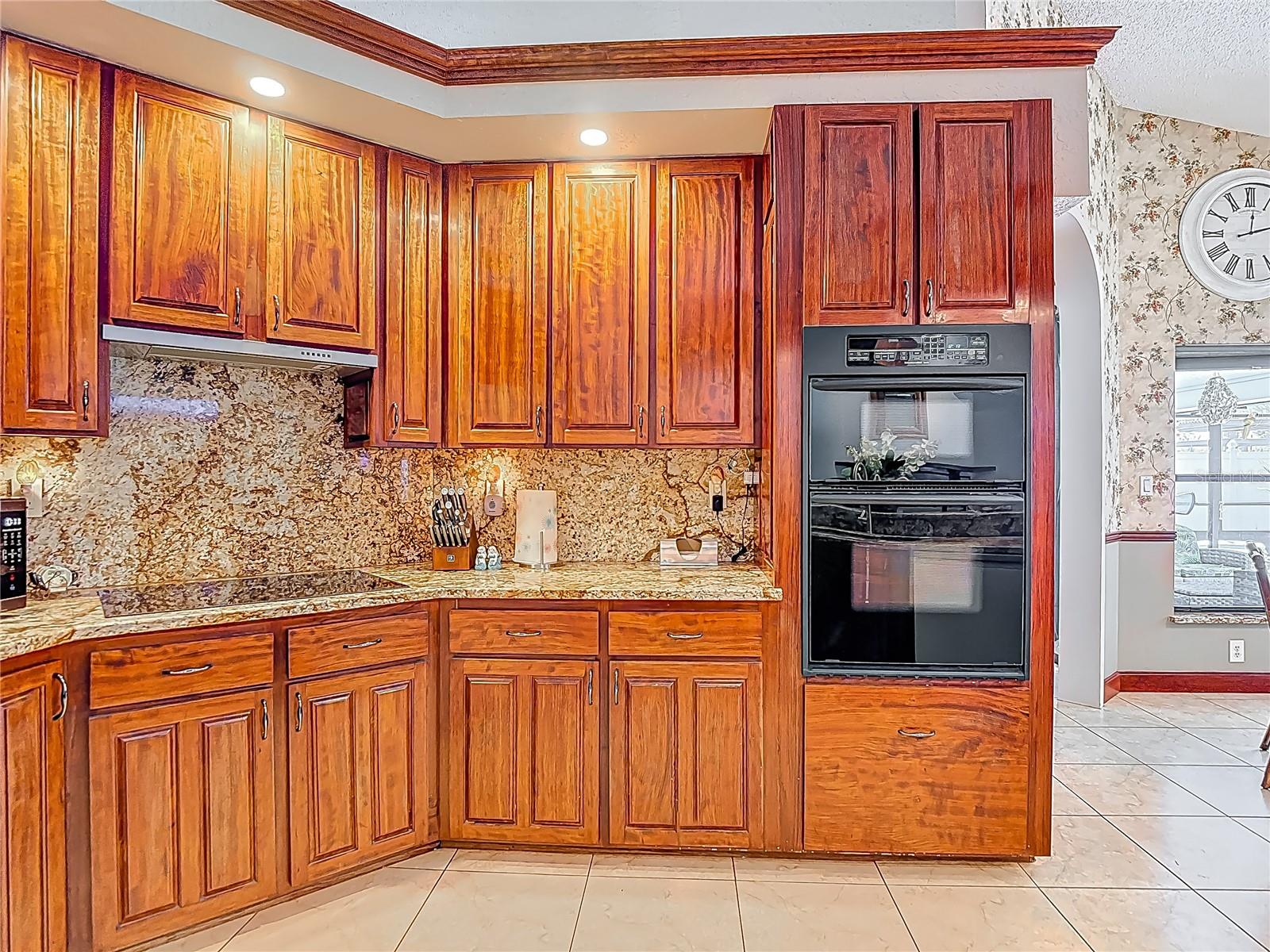 8208 RHANBUOY RD, SPRING HILL, FL, 34606