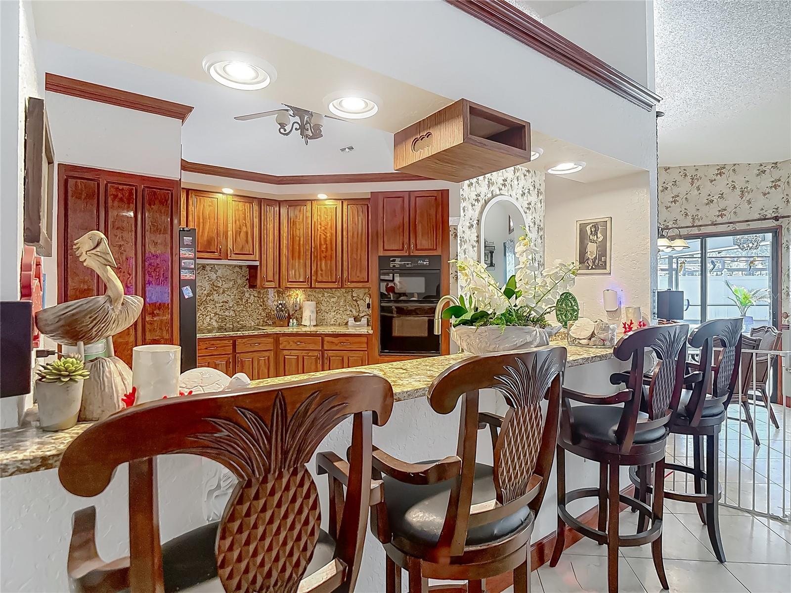 8208 RHANBUOY RD, SPRING HILL, FL, 34606