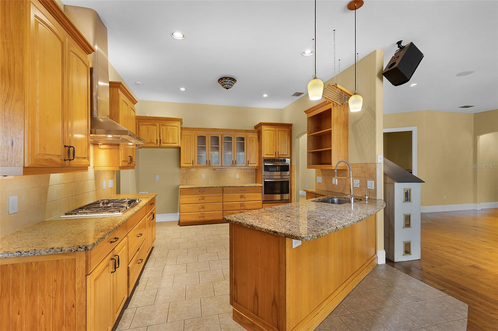 22244 COUNTY ROAD 455, HOWEY IN THE HILLS, FL, 34737