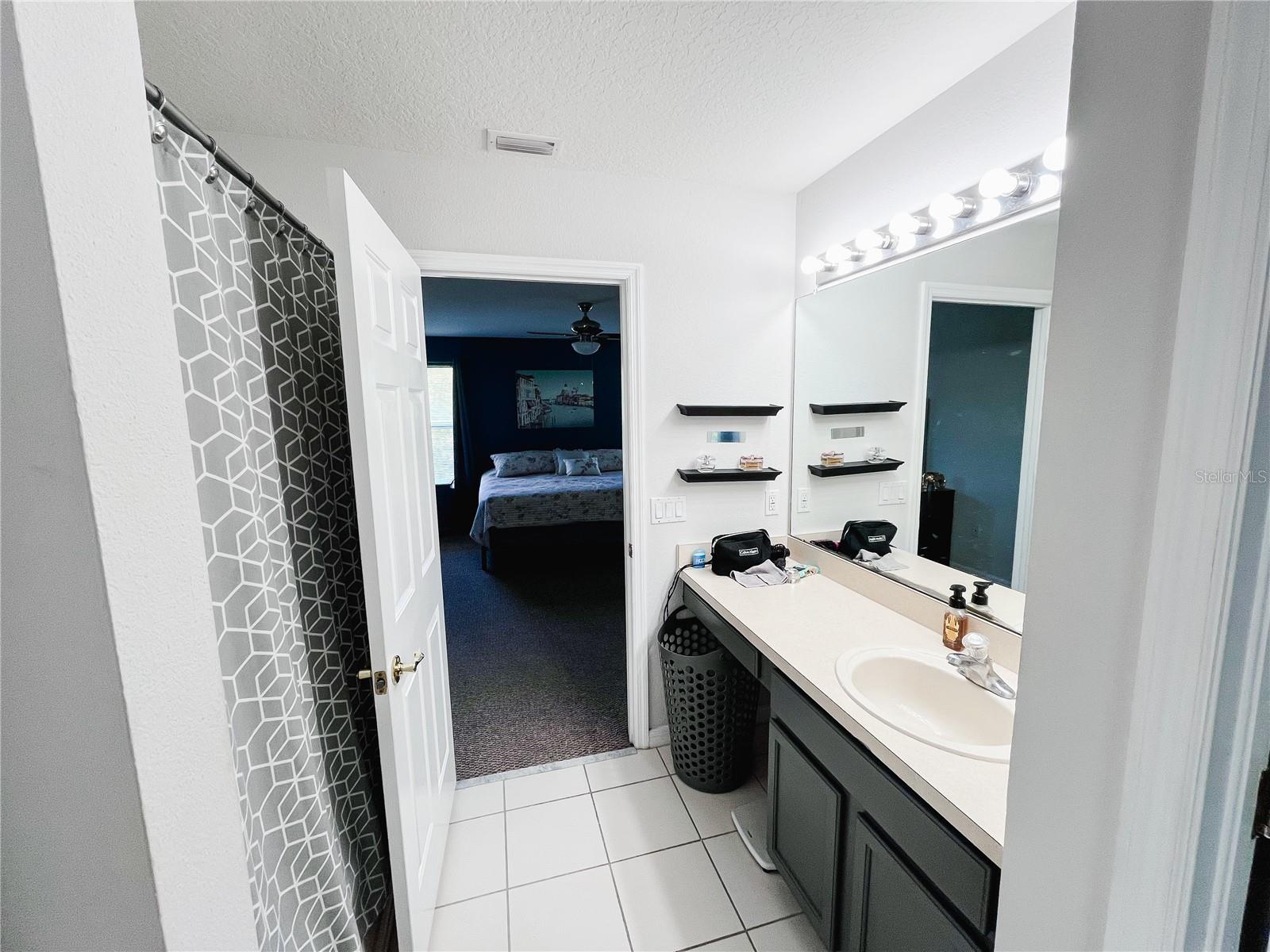 12513 BAY BRANCH CT, TAMPA, FL, 33635
