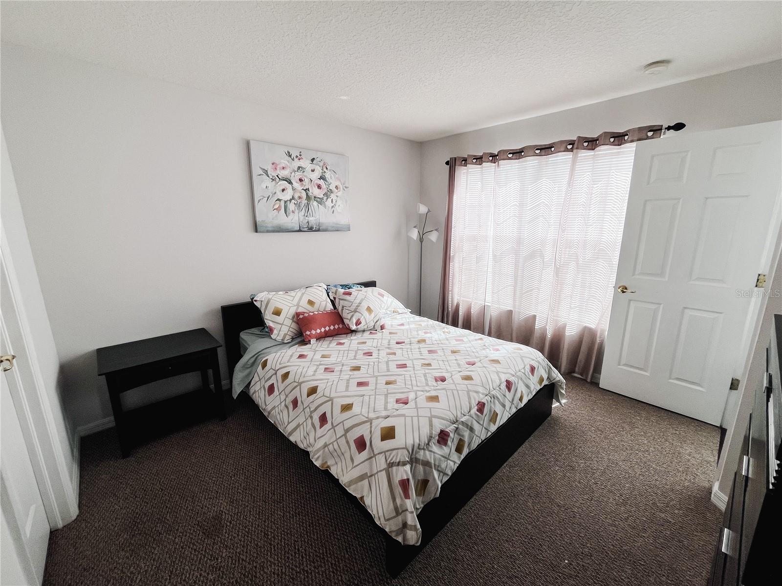 12513 BAY BRANCH CT, TAMPA, FL, 33635
