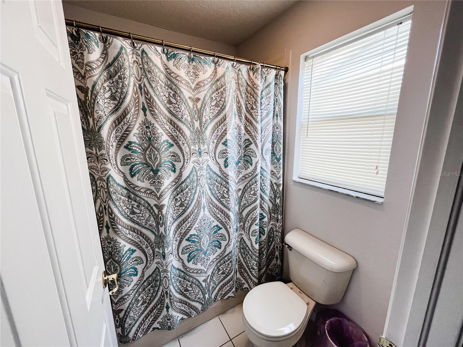 12513 BAY BRANCH CT, TAMPA, FL, 33635