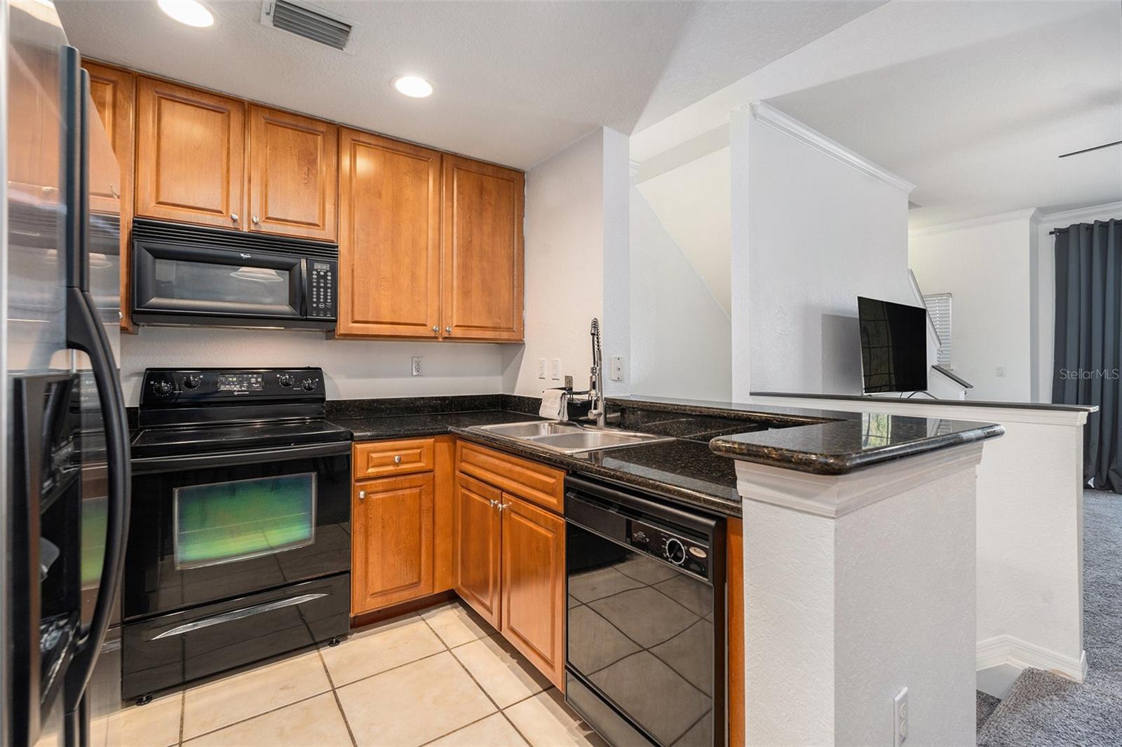 9813 MEADOW FIELD CIR, TAMPA, FL, 33626