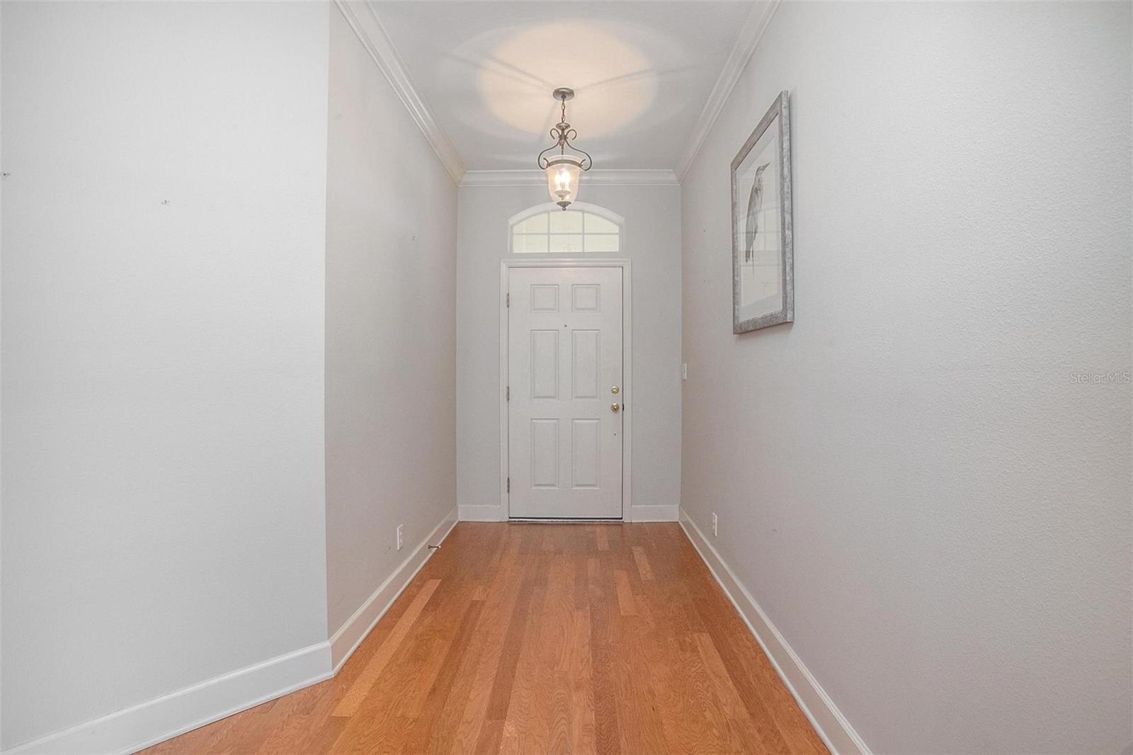 215 COLETON LN, DELAND, FL, 32724