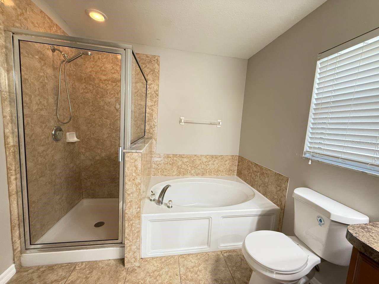 15468 LONG CYPRESS DR, RUSKIN, FL, 33573