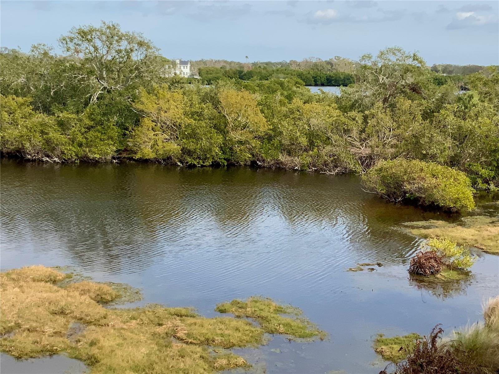 6315 SHORELINE DR #3204, SEMINOLE, FL, 33708