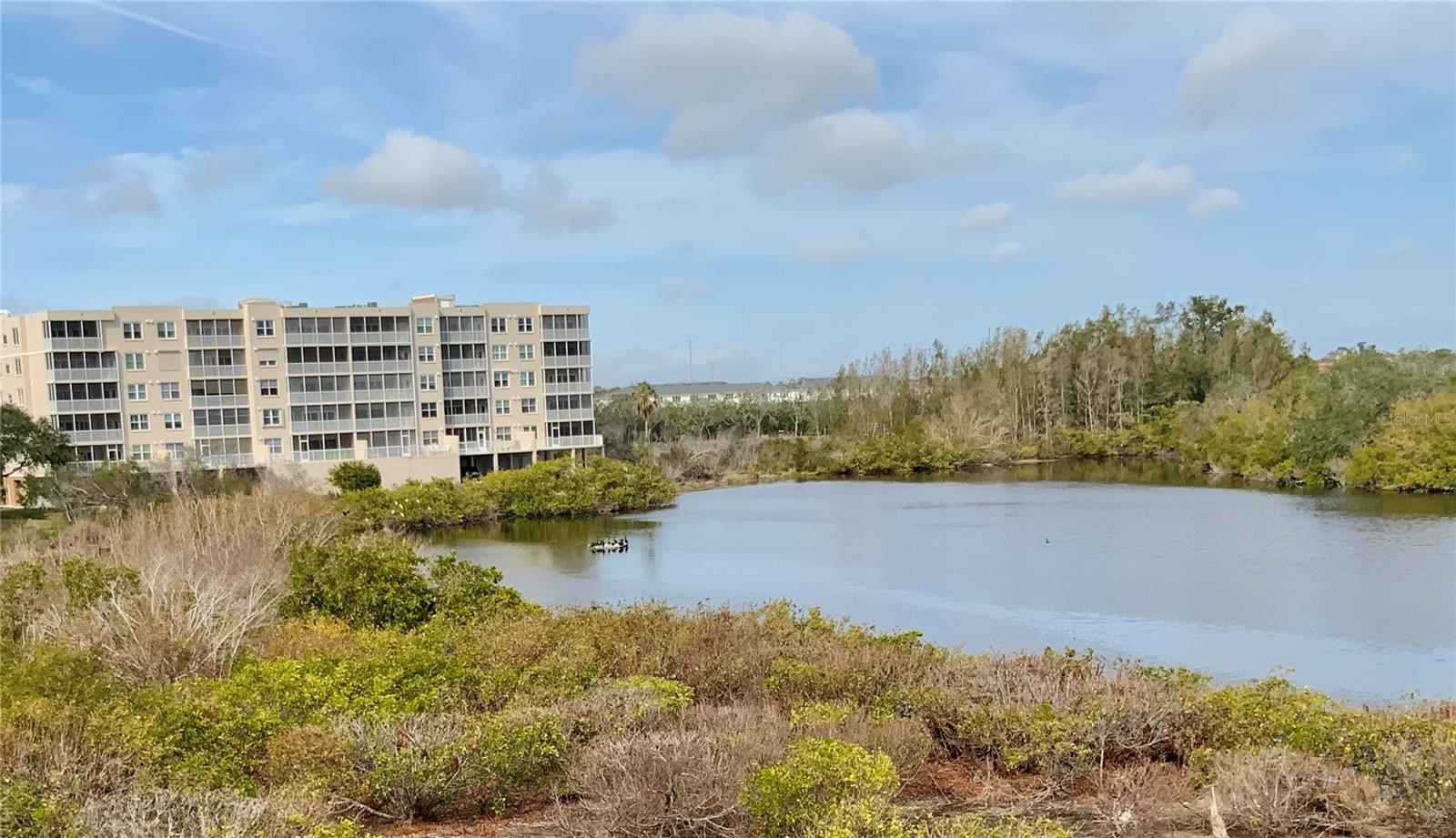 6315 SHORELINE DR #3204, SEMINOLE, FL, 33708