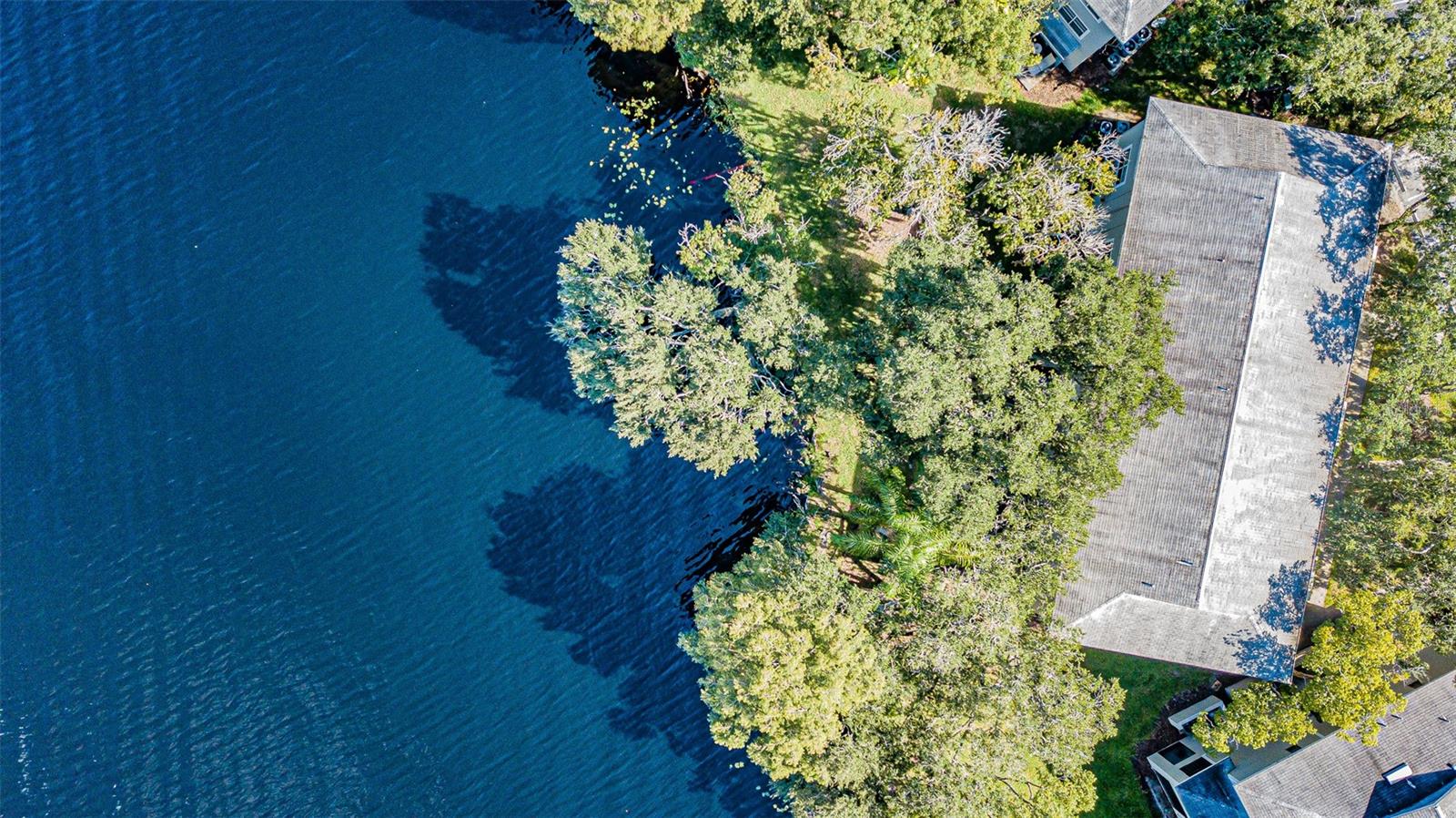 7150 E BANK DR #101, TAMPA, FL, 33617