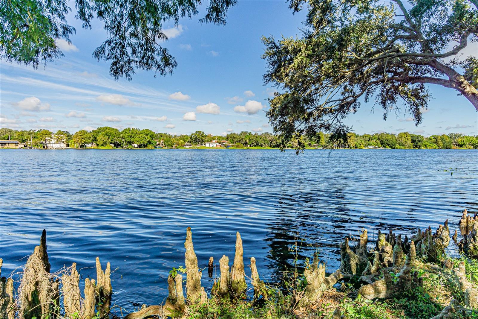 7150 E BANK DR #101, TAMPA, FL, 33617