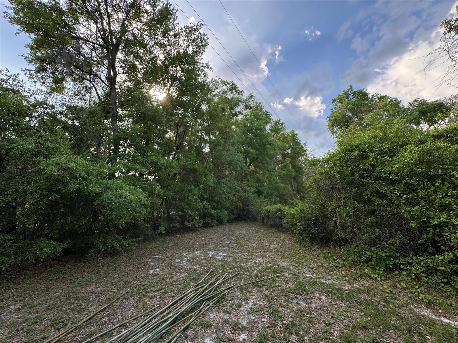 1201 CR 20A, HAWTHORNE, FL, 32640