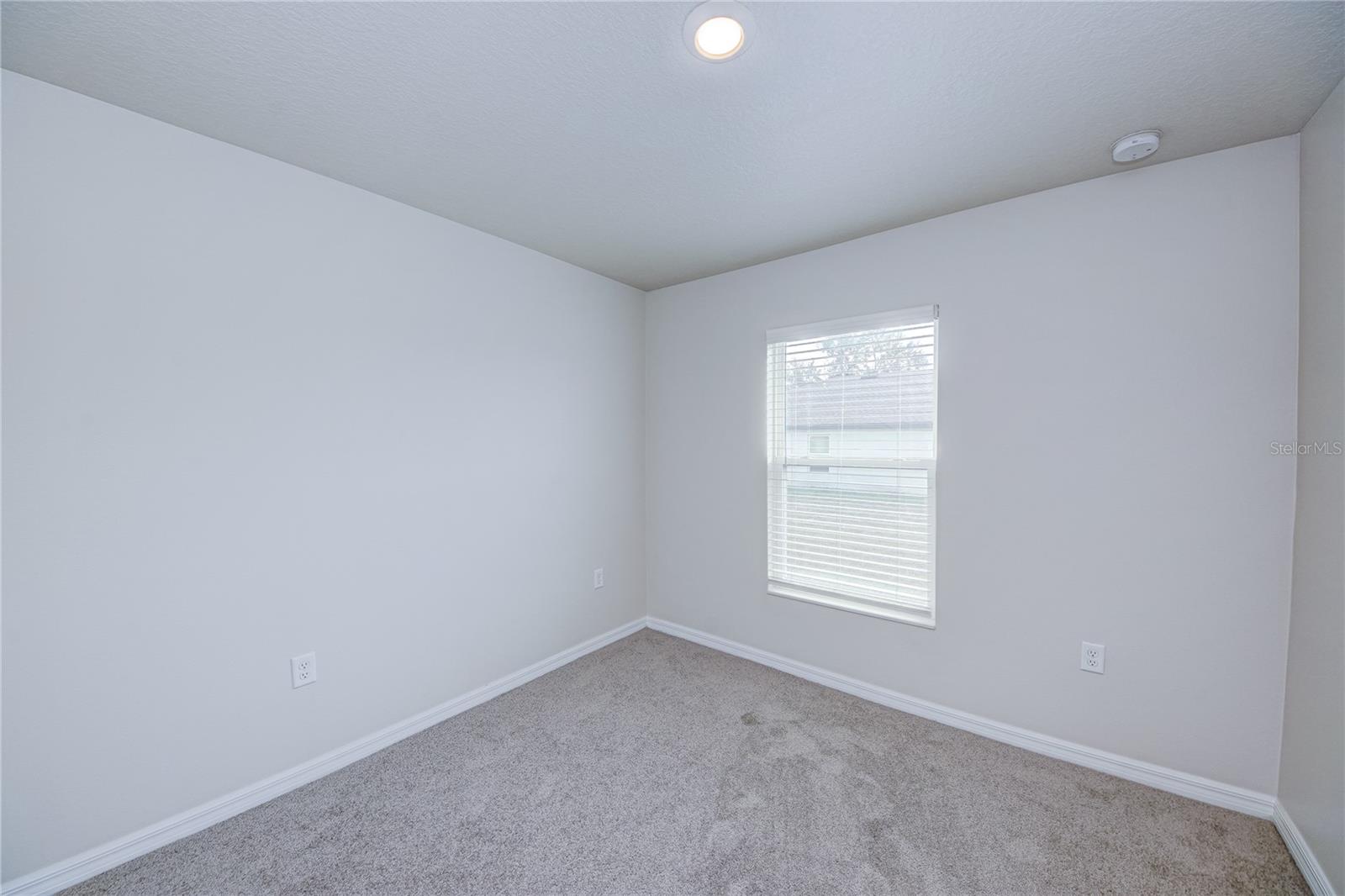 1684 GOPHER TREE ST, MASCOTTE, FL, 34753