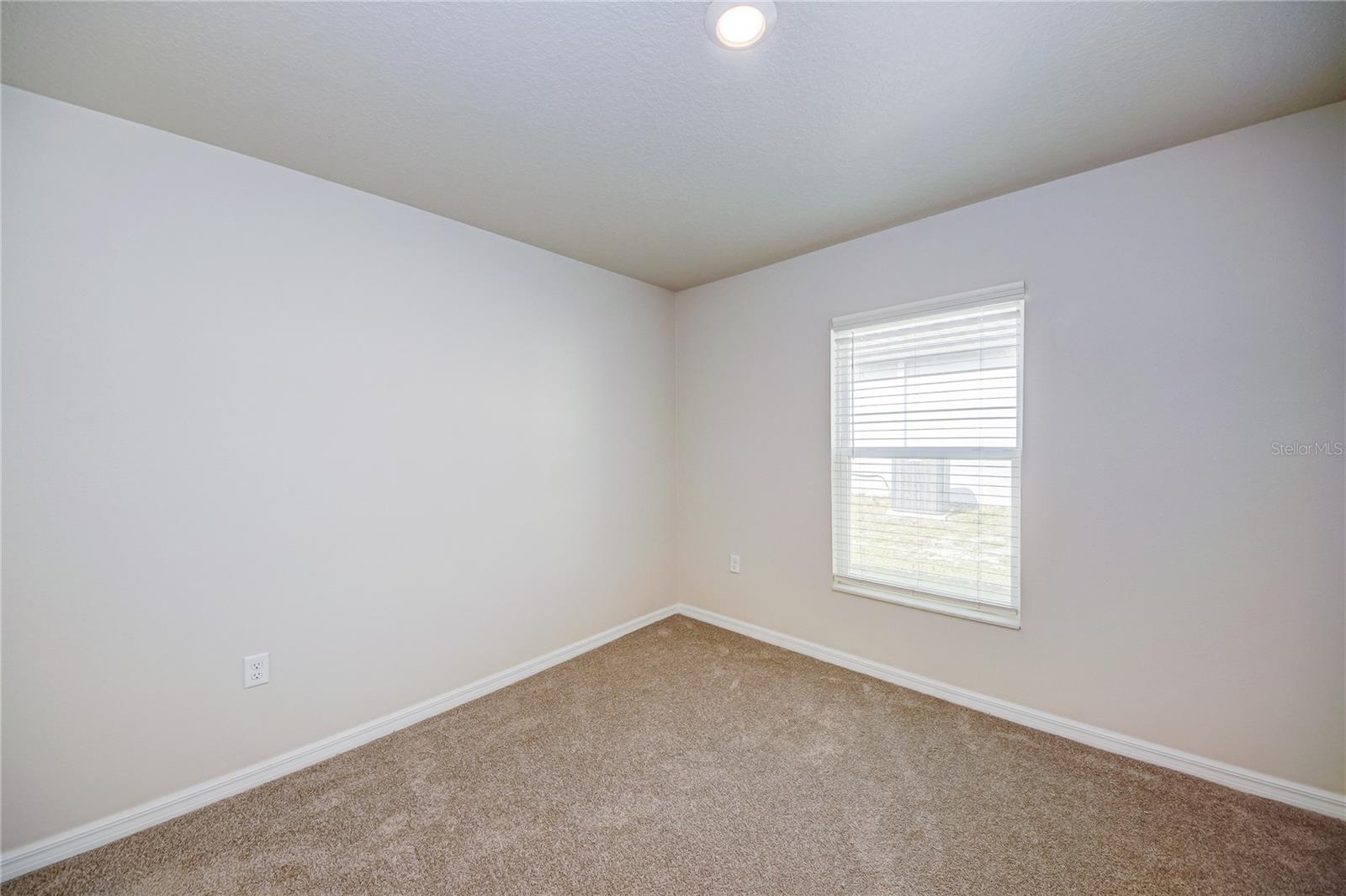 1684 GOPHER TREE ST, MASCOTTE, FL, 34753