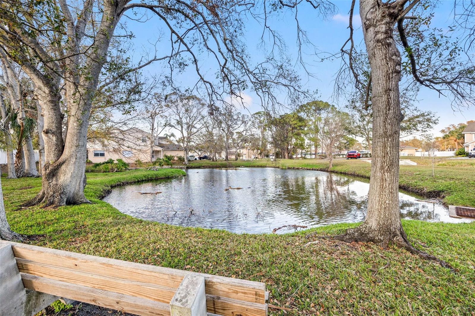 6980 ULMERTON RD #8C, LARGO, FL, 33771