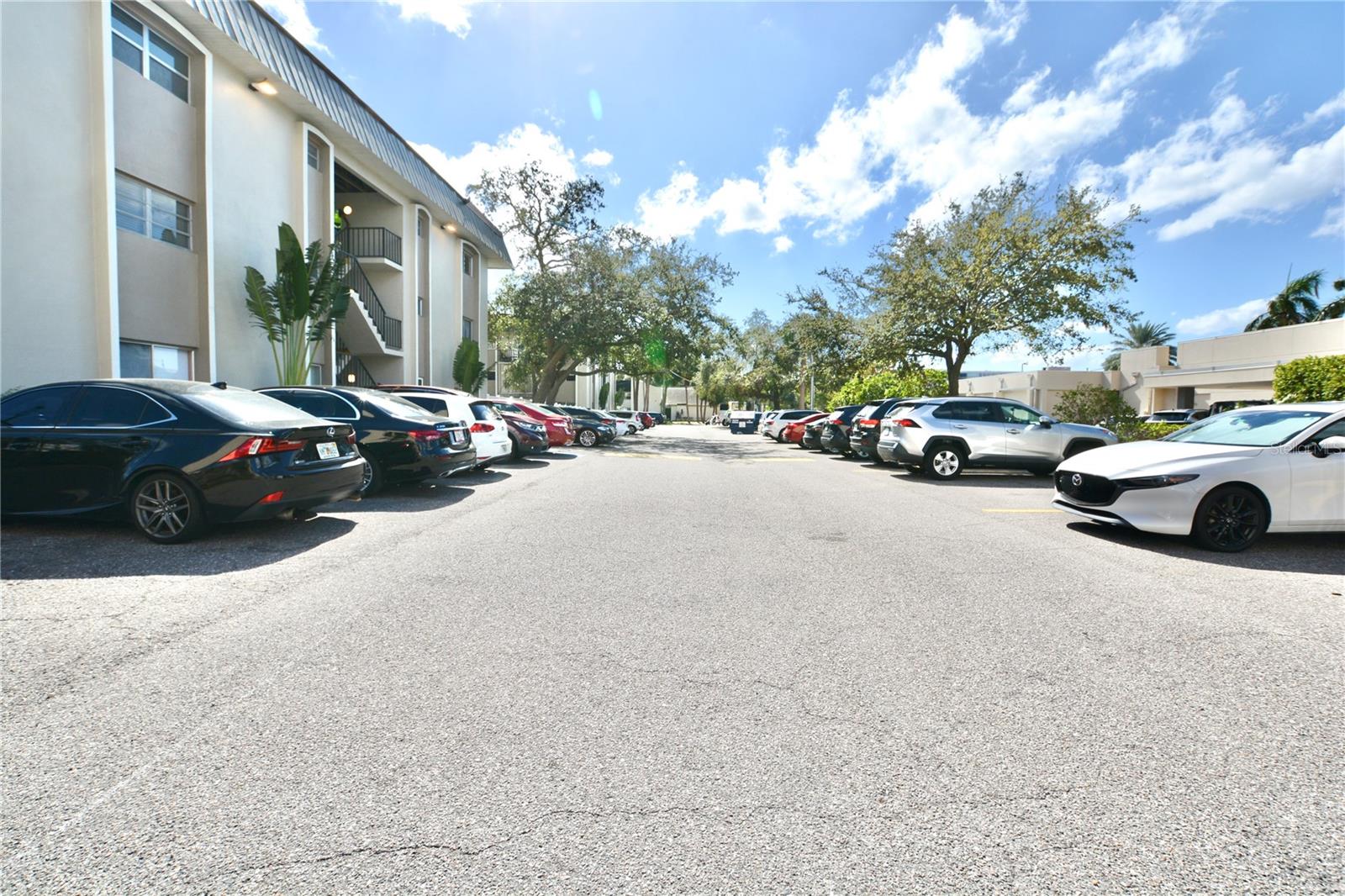 4610 W GRAY ST #208, TAMPA, FL, 33609