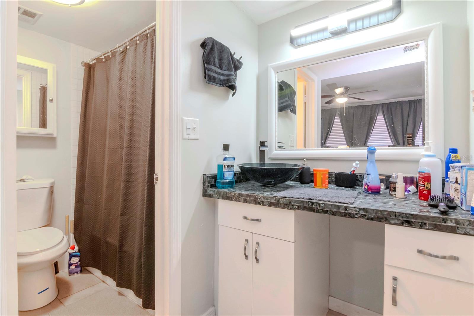 VILLAGE LAKE CONDO, ST PETERSBURG, FL, 33716