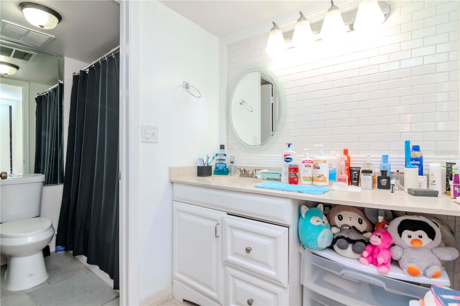 VILLAGE LAKE CONDO, ST PETERSBURG, FL, 33716