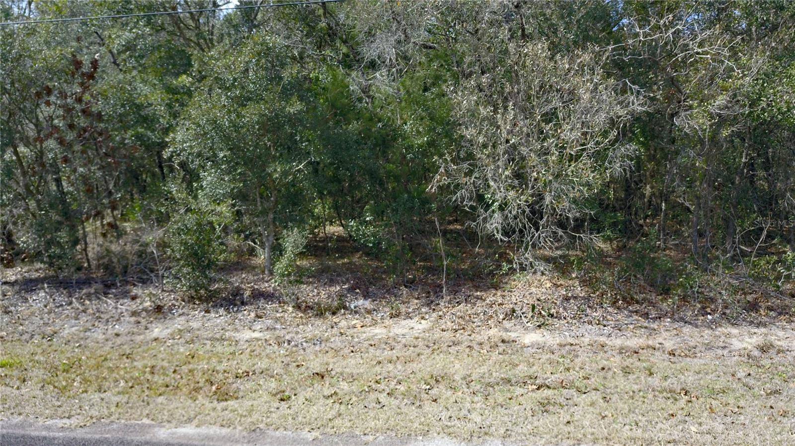 2901 W ARIES CT, LECANTO, FL, 34461