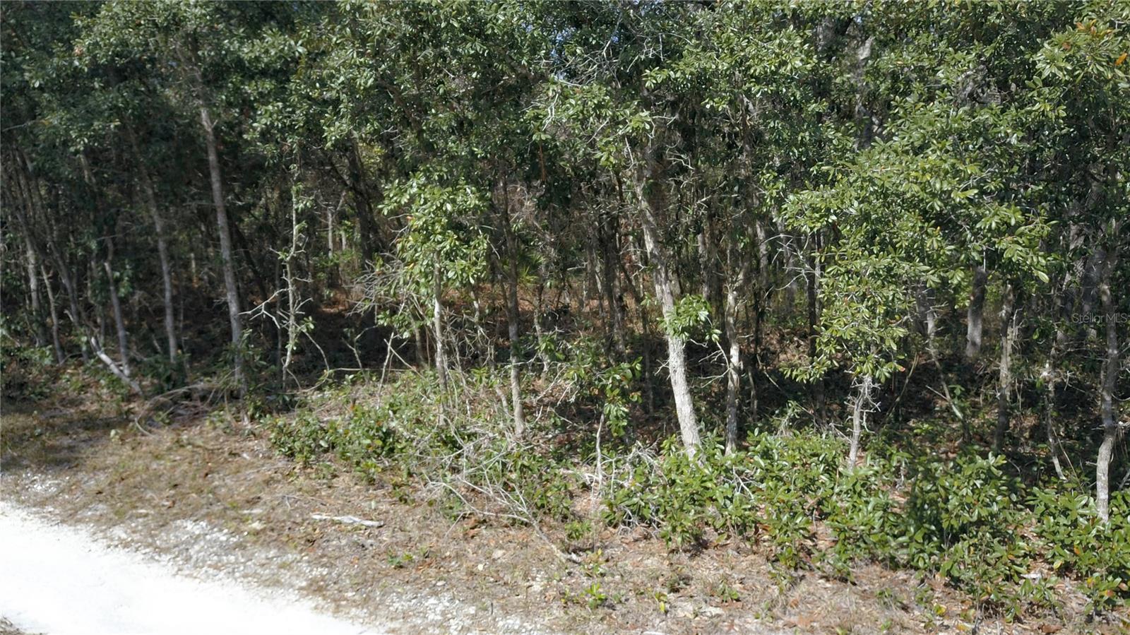 2901 W ARIES CT, LECANTO, FL, 34461