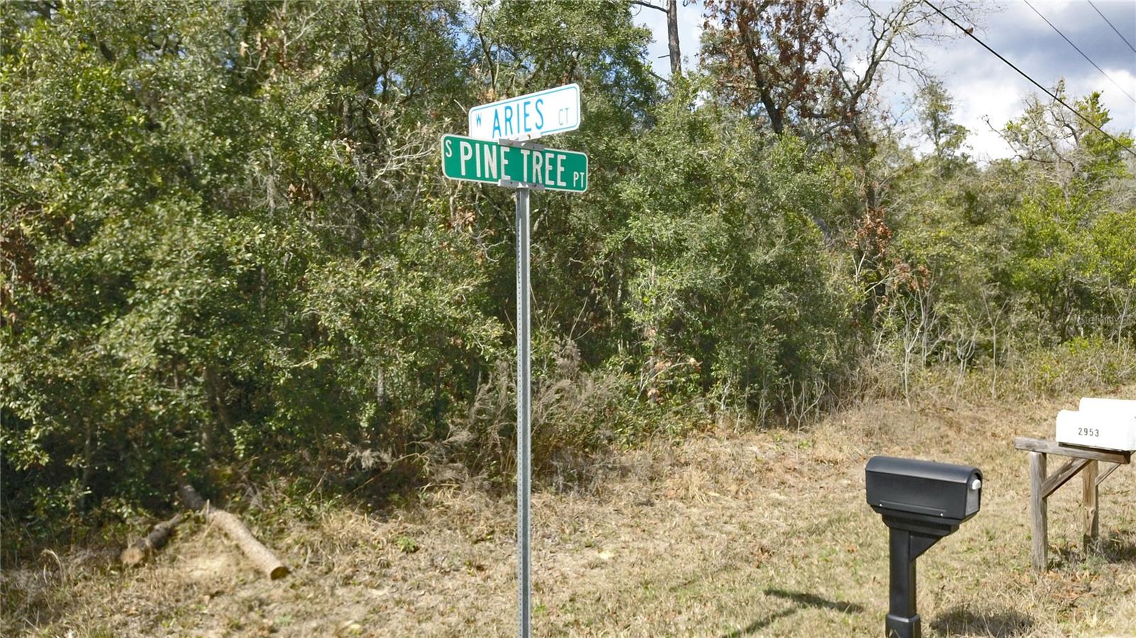 2901 W ARIES CT, LECANTO, FL, 34461